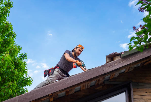 Best Gutter Installation and Repair  in Brecksville, OH